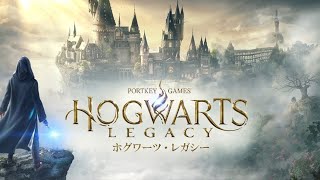 PS5 ﾎｸﾞﾜｰﾂﾚｶﾞｼｰ HOGWARTS LEGACY #13 HARD