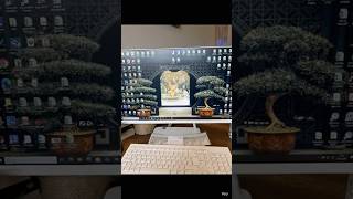 Computer Has A Glitching A System Uptade In Progess