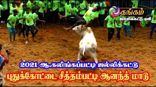 புதுக்கோட்டை சீத்தம்பட்டி ஆனந்த் மாடு | 2021 KALINGAPPATTY JALLIKATTU | ஆ.கலிங்கப்பட்டி ஜல்லிக்கட்டு