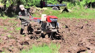 Kubota zt 140 Tractor to plow the land គោយន្តគូបូតា zt 140 ដាក់ផាលបីភ្ជួរដីស្រែគោក