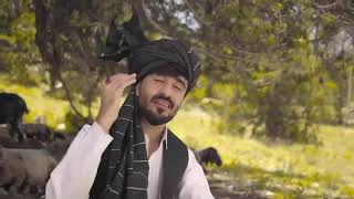 Wa lalai Da peelgho Sawdagar dai Nosherwan Ashna | Pashto New Song 2024 | HD Video Song