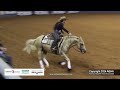 amateur reining 2024 aqha world championship show