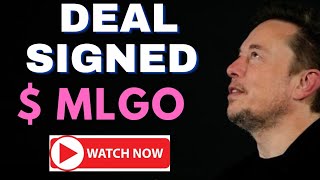 MLGO Stock - MicroAlgo Inc Stock Breaking News Today | MLGO Stock Price Prediction