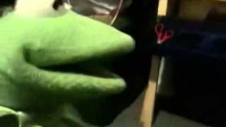 Why you shouldn't put Kermit in public