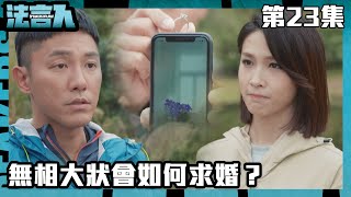 法言人｜無相大狀會如何求婚？｜馬國明｜林夏薇｜張穎康｜黃嘉樂｜丁子朗｜何依婷｜容天佑｜蔣祖曼｜TVB港劇精華｜愛情｜喜劇｜律政