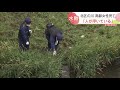 川に浮いていた高齢女性…救助されるも死亡　まだ身元は不明　札幌市北区