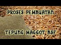 Proses Produksi Tepung Maggot BSF