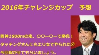 2016年チャレンジカップ予想～阪神1800ｍの鬼〇〇ー〇ーで勝負！～