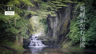 清水渓流広場「濃溝の滝・亀岩の洞窟」/雨城「久留里城」散策 | A stroll around Nomizono Falls / Kururi Castle