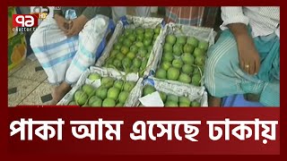 আম এসেছে ঢাকায়, আসেনি রাজশাহীর গুটি আম  | Seasonal Fruits | Ekattor TV