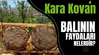 Kara Kovan Balı #Bal #karakovan