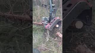 Forest Equipment