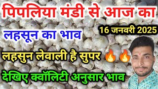 लहसुन भाव आज का पिपलिया मंडी today garlic rate Pipliya Mandi