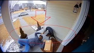Package Thief Gets Instant Karma 💥📦😂