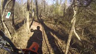 the new kids trail at crosstimbers