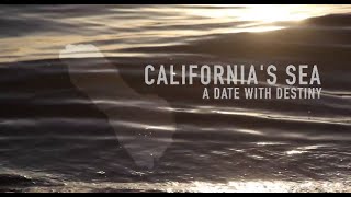 Salton Sea Documentary 2015: California's Sea: A Date With Destiny