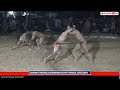 benia jammu vs dharminder kohali channi targwal akhnoor kushti dangal 08 dec 2024