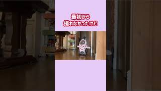 LOVOTの太極拳？ #shorts #lovot #robot #japan