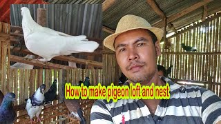 How to make pigeon loft and nest, get good egg and lots of pigeon/ របៀបធ្វើទ្រុងព្រាប និងសំបុកព្រាប