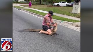 Wild video shows Florida man using bare hands to remove 8-foot gator from busy road