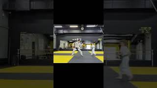 Taekwondo Individual Training
