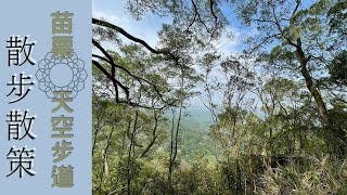 苗栗 九華山 天空步道 清晨漫步散策