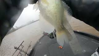 Sam Rayburn crappie chasin