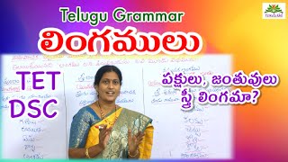 #TET#DSC।PGT । లింగములు ।Telugu Grammar । VOWELS KID