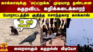 காக்காவுக்கு `ம(ப)றக்க' முடியாத தண்டனை... கதறவிட்ட கறிக்கடைக்காரர்... வைரலாகும் கதறல்ஸ் வீடியோ