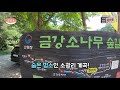 13 languages sub 경상도 계곡 베스트 11 거림 중산리 칠선 월성 동산 백석탄 얼음골 하옥 옥계 소광리 불영사 계곡 3분몰아보기 차박 노지캠핑episode 40