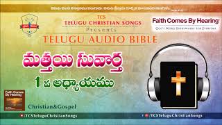 Gospel Of Matthew (మత్తయి సువార్త) Chapter 1 || Telugu Audio Bible