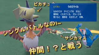 【Pokémon　SV】対面最強のウッウがガチで強すぎた