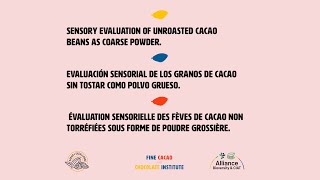 [Français] Évaluation sensorielle des fèves de cacao non torréfiées sous forme de poudre grossière