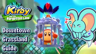 Downtown Grassland - Hidden Waddle Dee Locations Guide