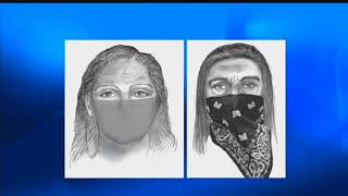 New details revealed in Sherri Papini abduction case