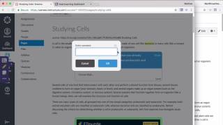 Canvas with InsertLearning