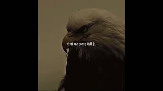 रिश्तेदारों की राय और हिजड़ों की है.. दोनों घर उजाड़ देती है..!💯👍 #shayari #short_video