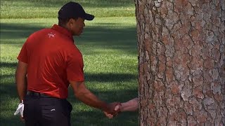 ‘Meme of the year’: Tiger Woods moment steals the Masters limelight