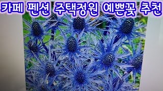 할머님도 예쁜 청보라색 꽃 보시면 소녀 마음 처럼 전원주택정원 카페정원 펜션정원 아파트정원