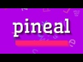 PINEAL - HOW TO PRONOUNCE IT?