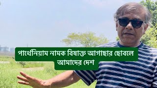 পার্থেনিয়াম নামক বিষাক্ত আগাছার ছোবলে আমাদের দেশ।