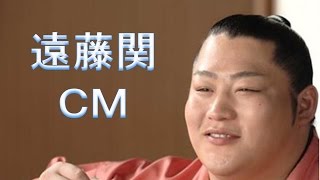 遠藤関永谷園CM