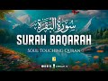 Very calming recitation of Surah Al Baqarah Full (سورة البقره)  | Zikrullah TV