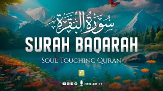Very calming recitation of Surah Al Baqarah Full (سورة البقره)  | Zikrullah TV