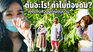 #shorts  ต้นอะไร!!!ทำไมต้องดม??? เยี่ยมชมสวนผักเพื่อนบ้าน, Kan's family  ครอบครัวไทยในฝรั่งเศส