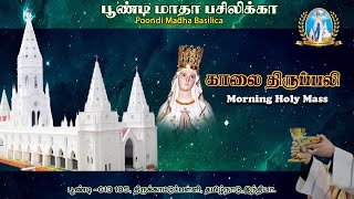 🔴Holy Mass |23.02.2025 | Fr. S. John Corneliyus Ass. Parish Priest | Poondi Madha Basilica