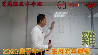 【雞】2020庚子年十二生肖流年運程《李應聰風水命理 節錄》