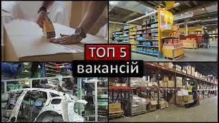 ТОП 5 Найкращих вакансій в Польщі БЕЗ ДОСВІДУ РОБОТИ і БЕЗ ЗНАННЯ МОВИ (2022) Робота в Польщі