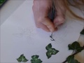 botanical illustration of ivy by lizzie harper