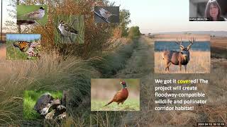 Habitat Corridors in the Yolo Bypass Wildlife Area